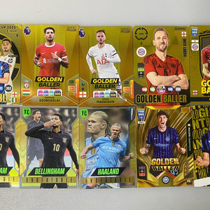 파니니 골든볼러 리미티드 에디션 인비터블 등 팝니다