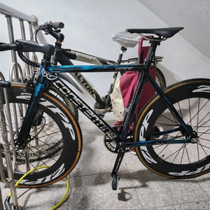 콘스탄틴 디스페랄 마블블루 24년식 판/대 급처 이미지