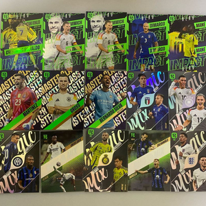 파니니 탑클래스, 피파365 대량 싸게 판매