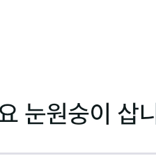 입양하세요 펫 눈원숭이 삽니다! 이미지