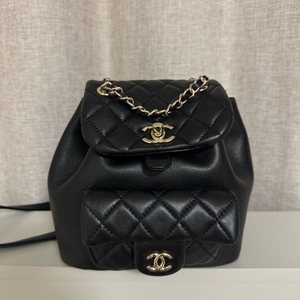 샤넬 셀린느 가방 정리