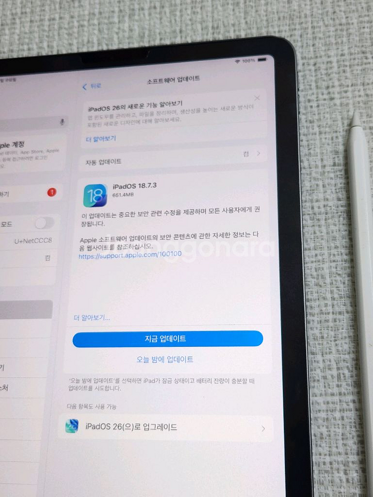 아이패드에어4 + 애플펜슬2세대--7