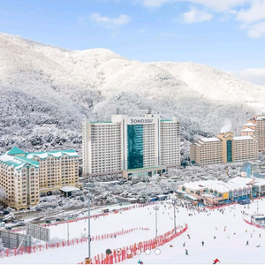 소노벨 비발디파크 3인 숙박+조식뷔페+오션월드+리프트권+케이블카+할인권