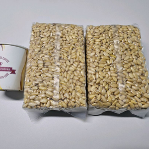 야생 왕잣500g2팩 일괄 (총1kg)