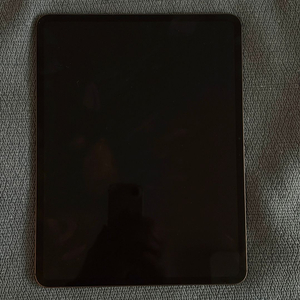 아이패드 프로 13인치 (M4) 1T 셀룰러 박풀