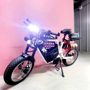 br3 헤리티지 화이트 전기자전거 판매s급