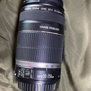캐논 EF-S 55-250mm F4-5.6 IS 렌즈