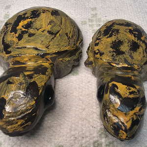 경산 스트로마톨라이트 거북이 2마리