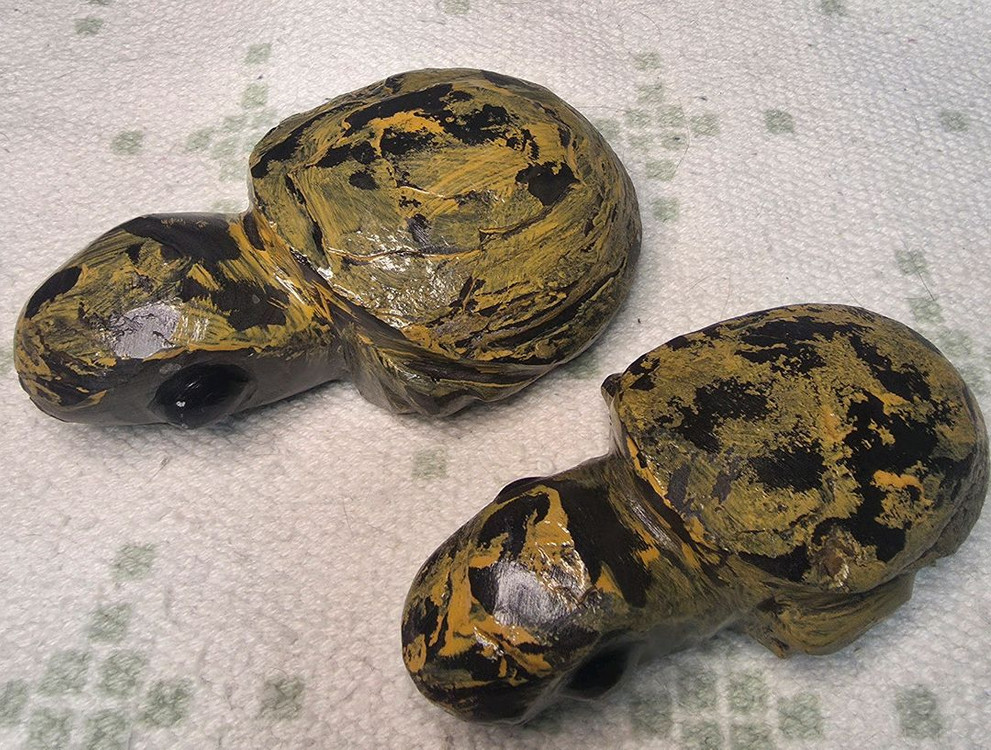 경산 스트로마톨라이트 거북이 2마리--1