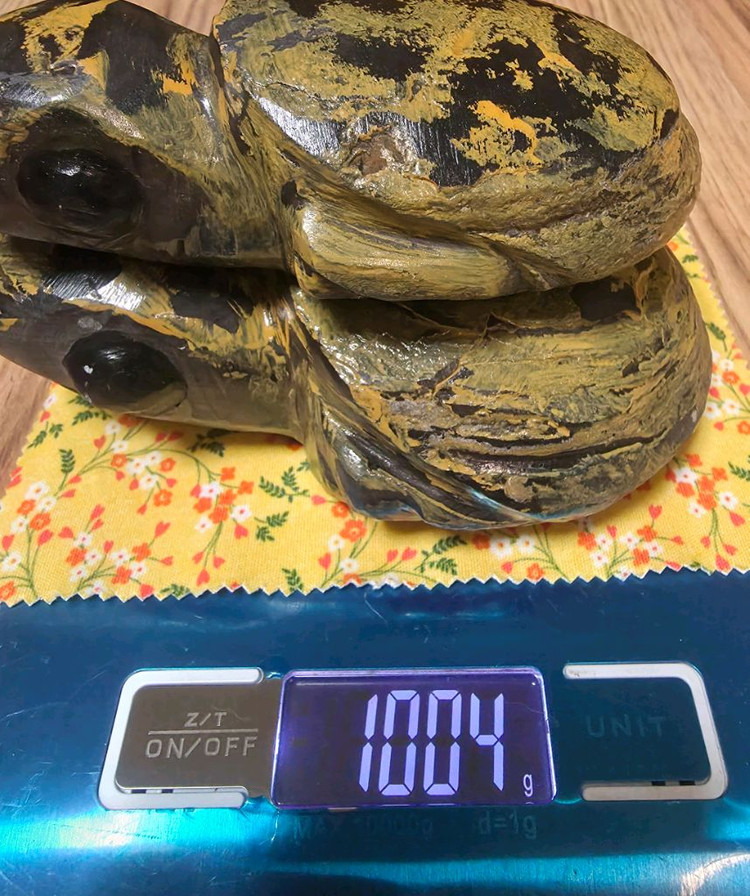 경산 스트로마톨라이트 거북이 2마리--4