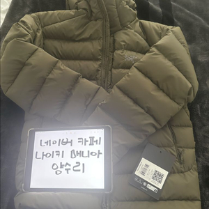 M 아크테릭스 토륨 타츠컬러