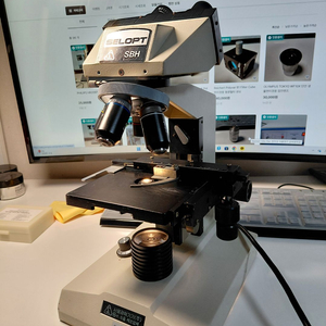 SELOPT SBH 생물현미경 이미지