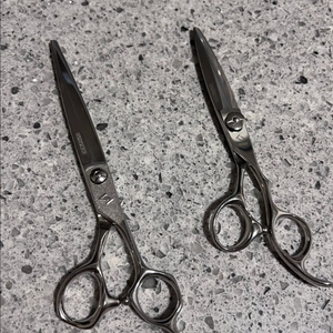 사사키가위 (거의새거입니다)