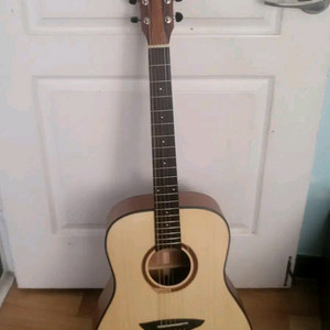 고퍼우드 G100 어쿠스틱 기타