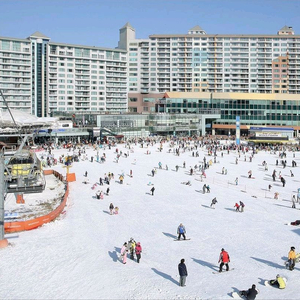 횡성 웰리힐리파크 패밀리 숙박 스키 리프트권 4인 포함 숙소 양도