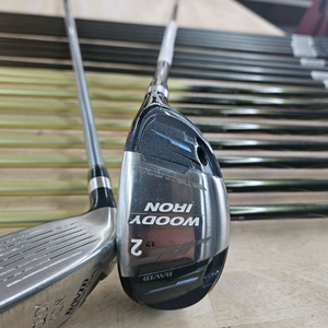 데이비드 우디 아이언 2 후지쿠라 6R