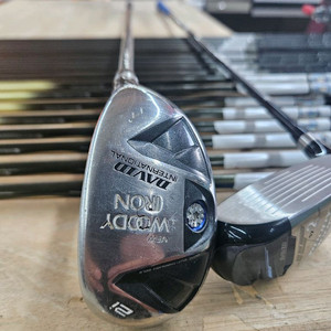 데이비드 우디 아이언 2