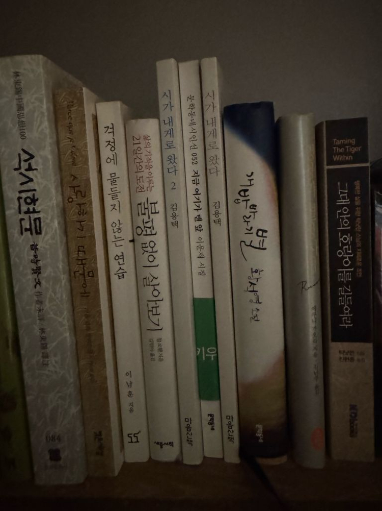 인문학 경영 자기개발 소설 권당 5천원 중고 도서 여러 권 판매--9