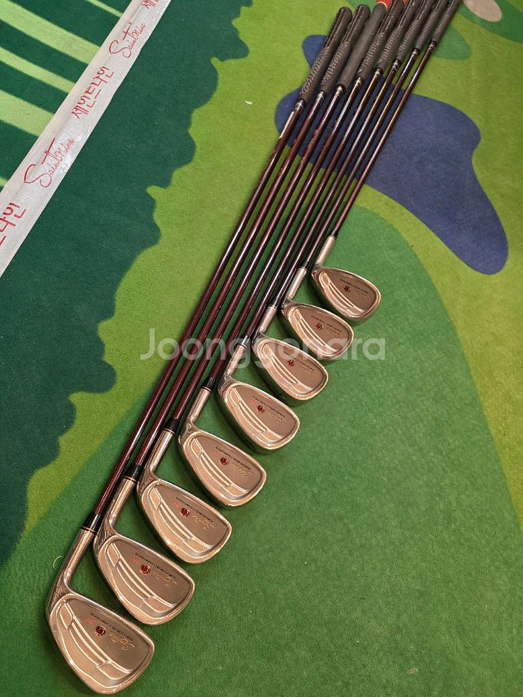 (명품) 에스야드 여성용 Senfina GF-1 단조 아이언 처분합니다--1