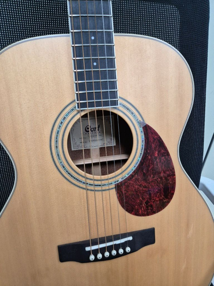 콜트 어스100 om 통기타 판매--1