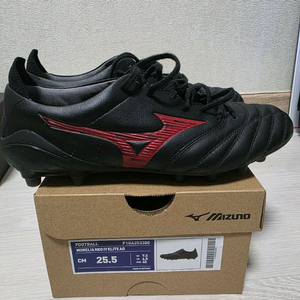 모렐리아 네오4 베타 엘리트AG 255