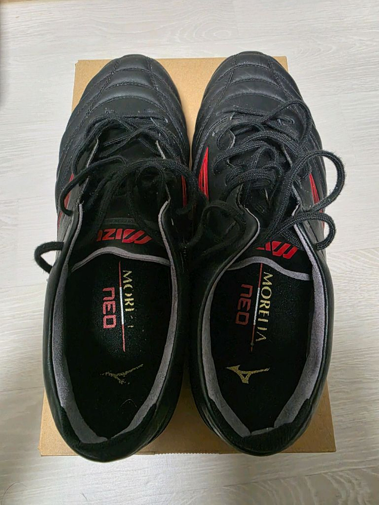 모렐리아 네오4 베타 엘리트AG 255--1