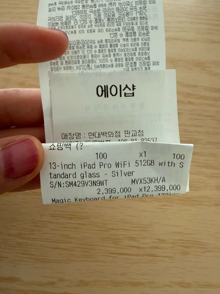 아이패드 프로 13 m4 512 실버 이미지