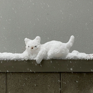 아이폰 17프로맥스 실버->갤럭시 폴드7 교환찾습니다.