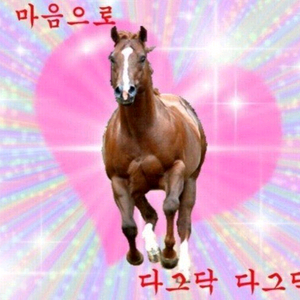 아이브 비공굿 대량 양도 급처 ive 이미지