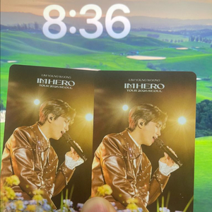 임영웅 서울 고척 콘서트 (1/17 토, 2매) 정가 양도