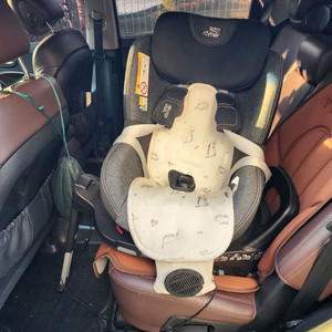 브라이텍스 듀얼픽스 프로(직접 직구 상품)