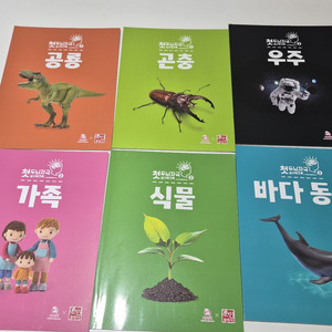 다미댁 첫 두뇌자극 실사 워크북 6권 세트