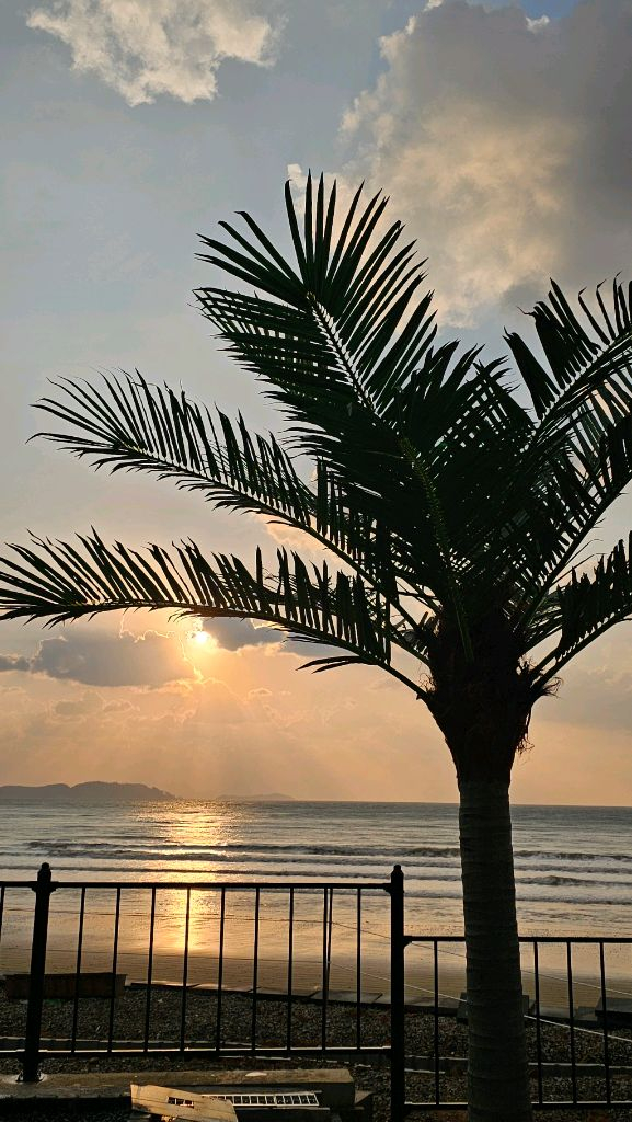 대형 인조 야자나무 조화 맞춤제작 / 전국시공--1