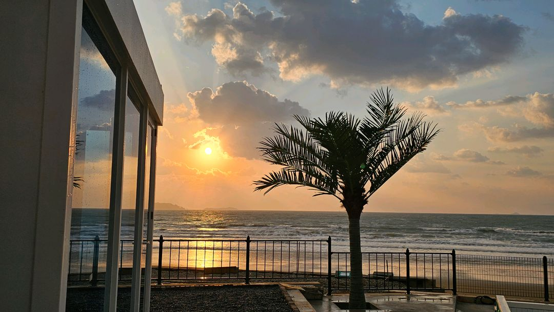 대형 인조 야자나무 조화 맞춤제작 / 전국시공--2