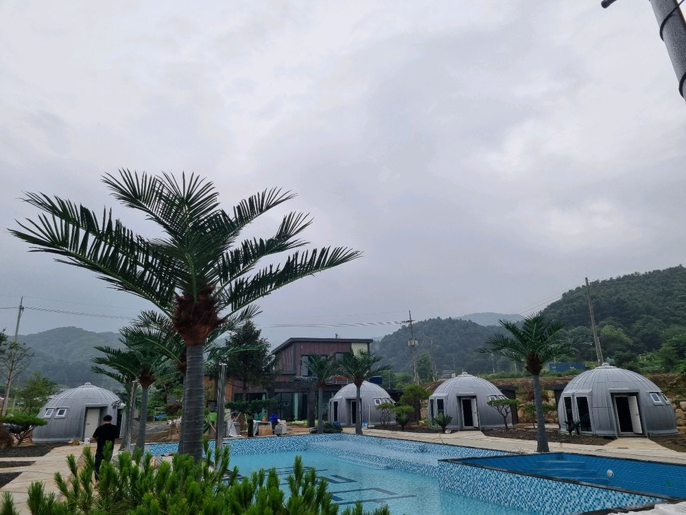 대형 인조 야자나무 조화 맞춤제작 / 전국시공--3