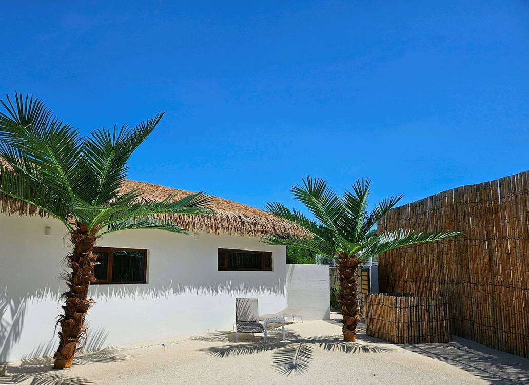 대형 인조 야자나무 조화 맞춤제작 / 전국시공--6