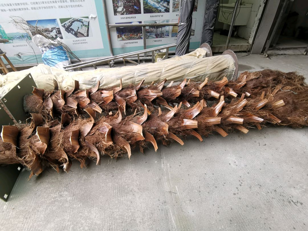 대형 인조 야자나무 조화 맞춤제작 / 전국시공--7