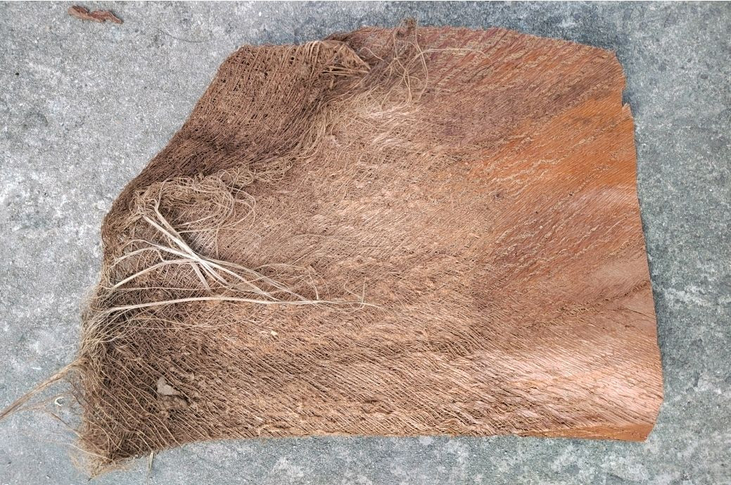 대형 인조 야자나무 조화 맞춤제작 / 전국시공--9