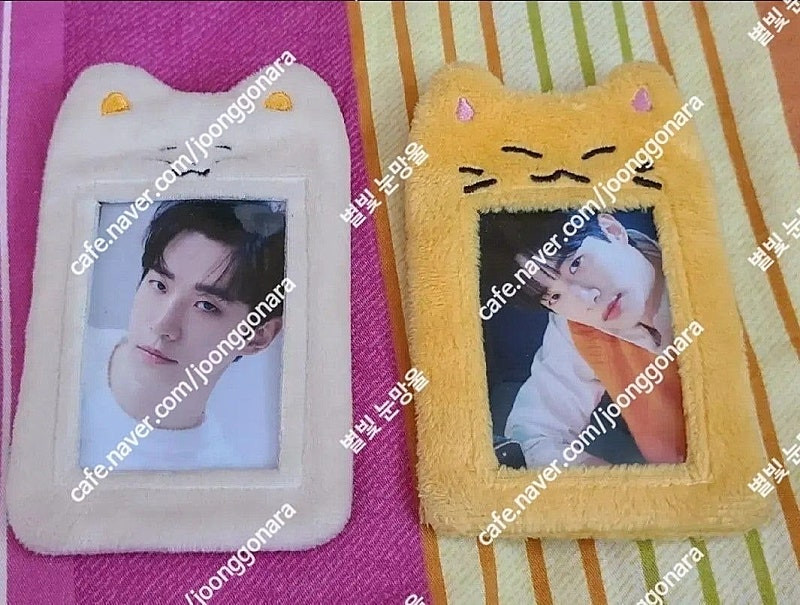 2pm 준호 준더모 틴케이스 포카 세트 + 잊냥이 포카홀더 일괄양도 이미지