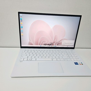 LG그램 노트북 15인치 !5-13세대/램16/SSD256/