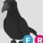 입양하세요 펫 삽니당 이미지