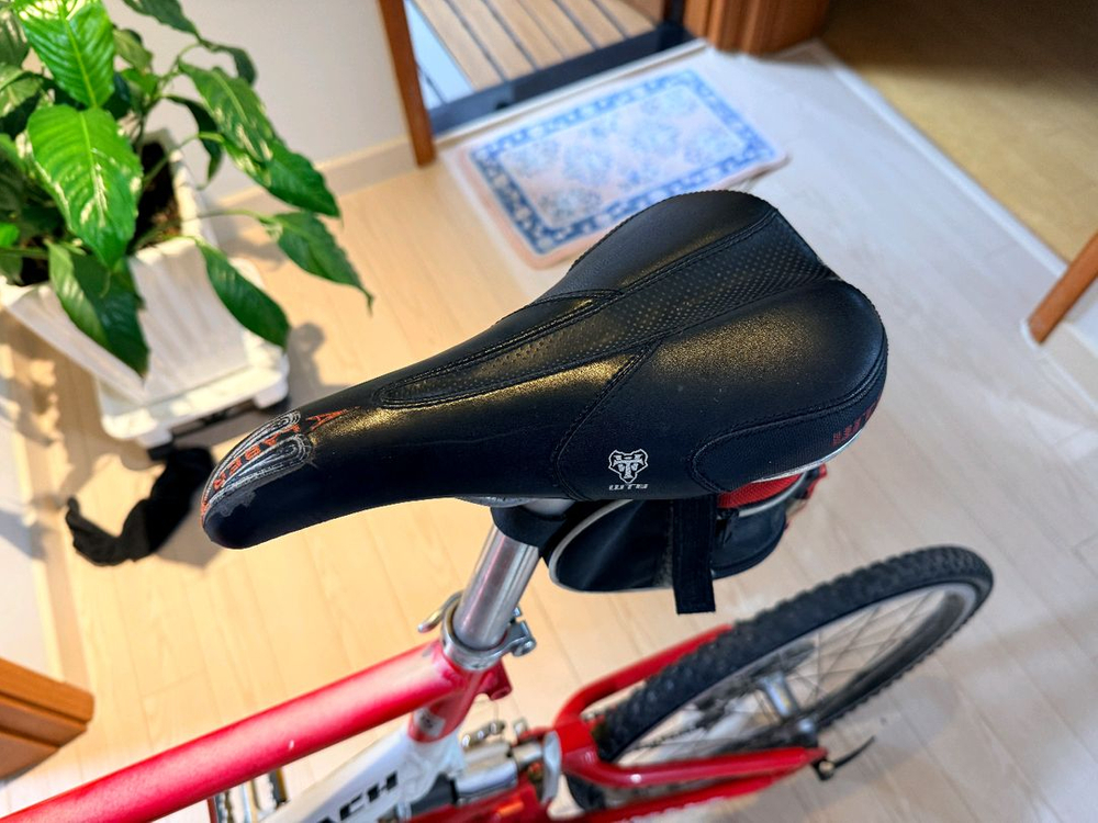 퍼시픽 리치 미니벨로 자전거 이미지