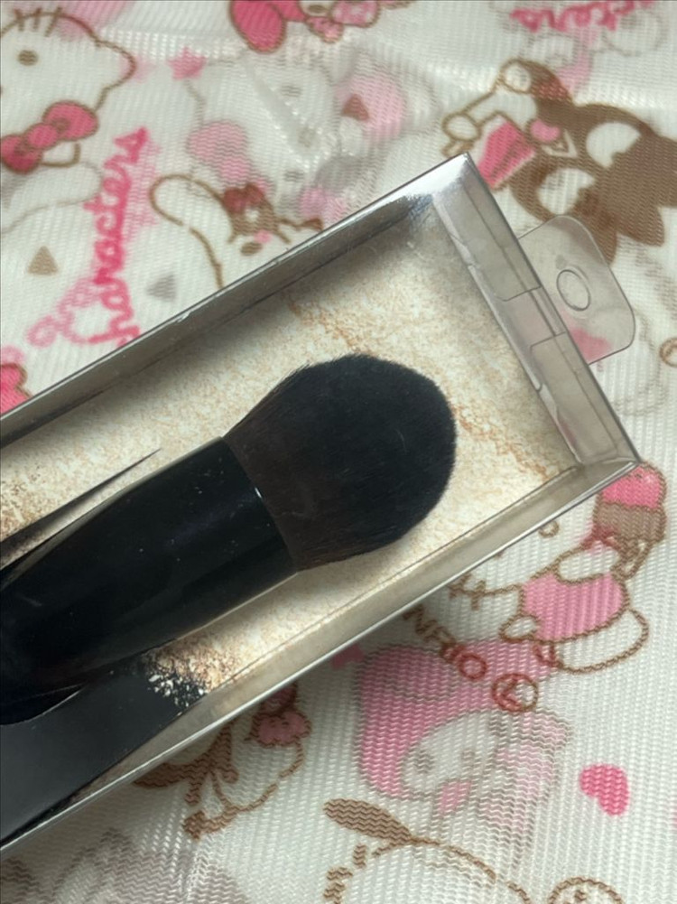 클리오 브러쉬 204--2