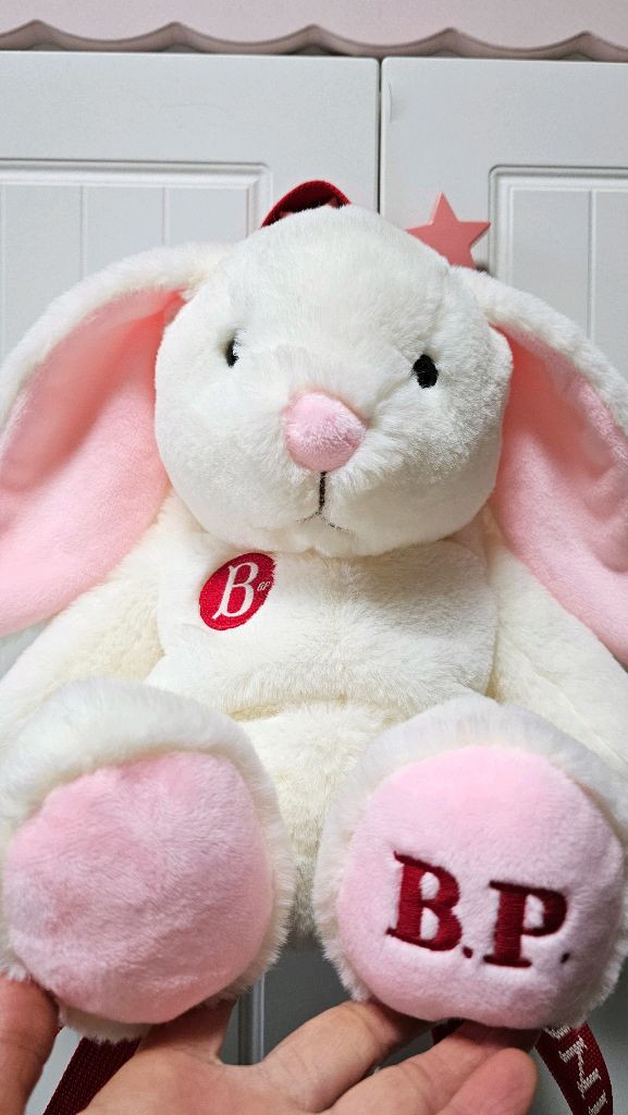 베베드피노 백팩가방새거두개묶음(스누피 토끼)가방3개덤드림--2