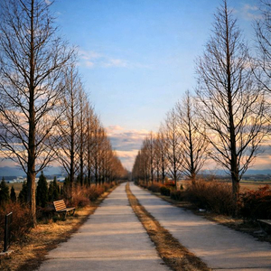 무주 시즌권 삽니다 이미지