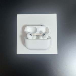애플 에어팟 프로 2세대