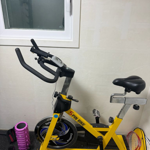 픽바이크 피트니스 자전거