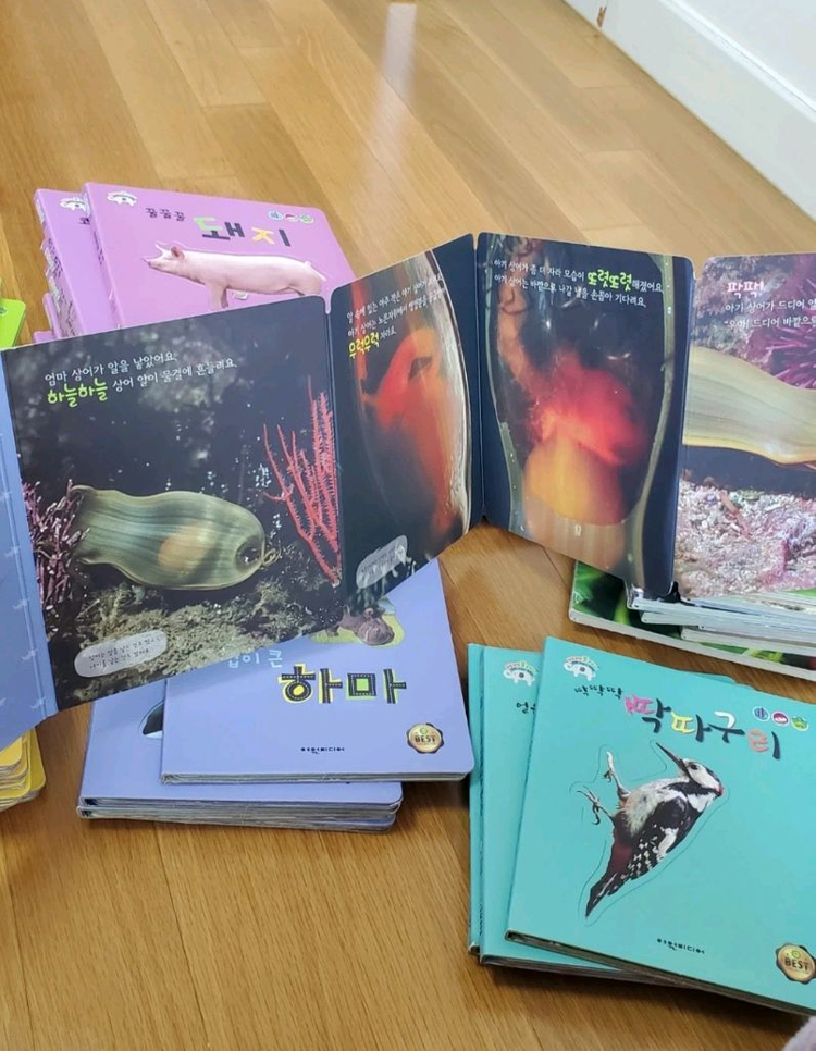 베베플레이 자연이콩콩콩--1