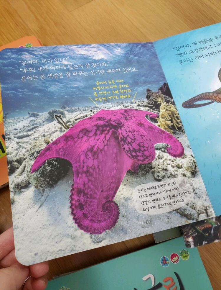 베베플레이 자연이콩콩콩--2