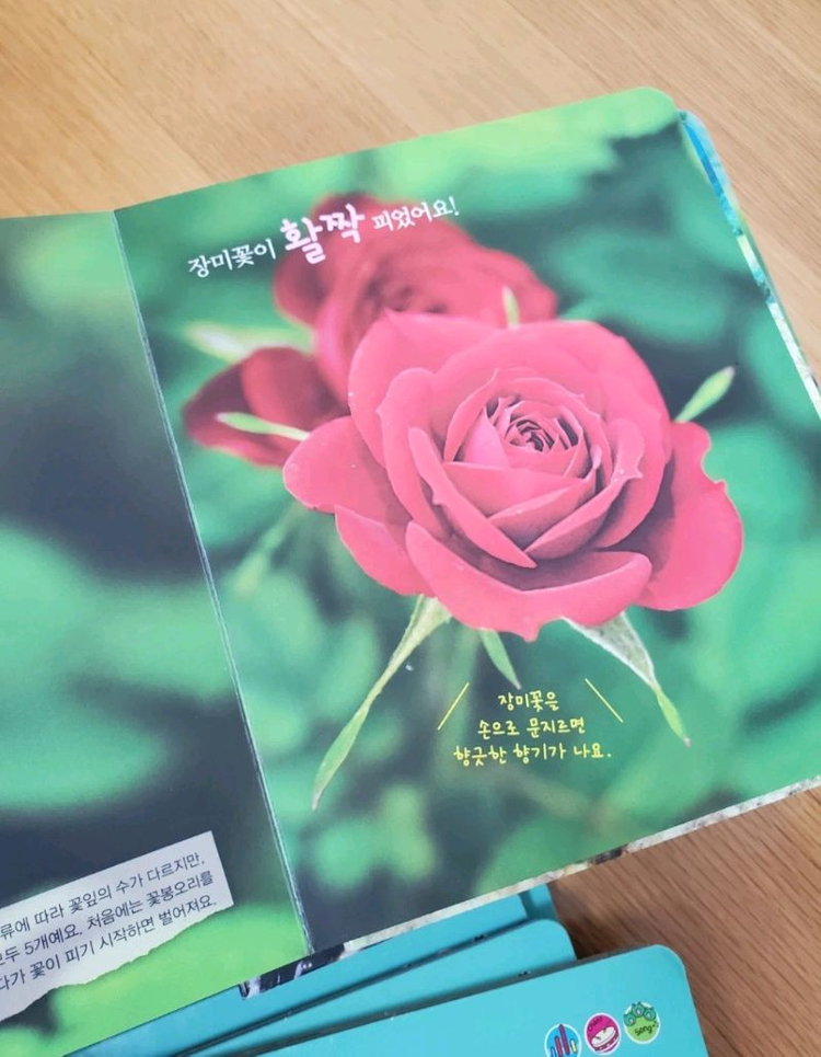 베베플레이 자연이콩콩콩--3